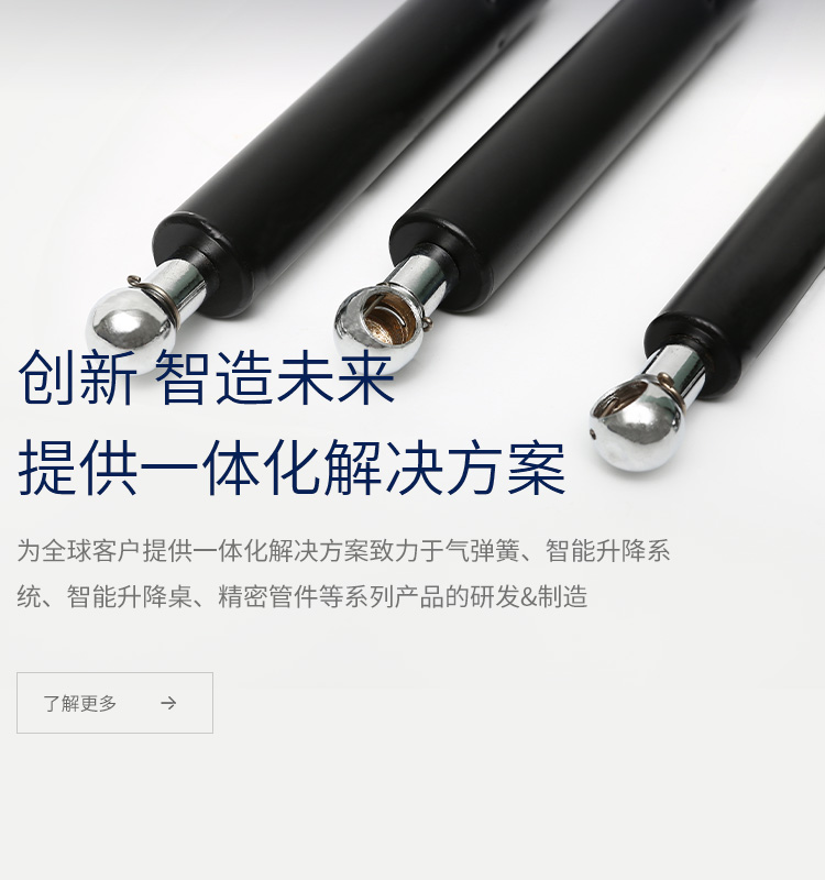 安徽萊特氣彈簧有限公司