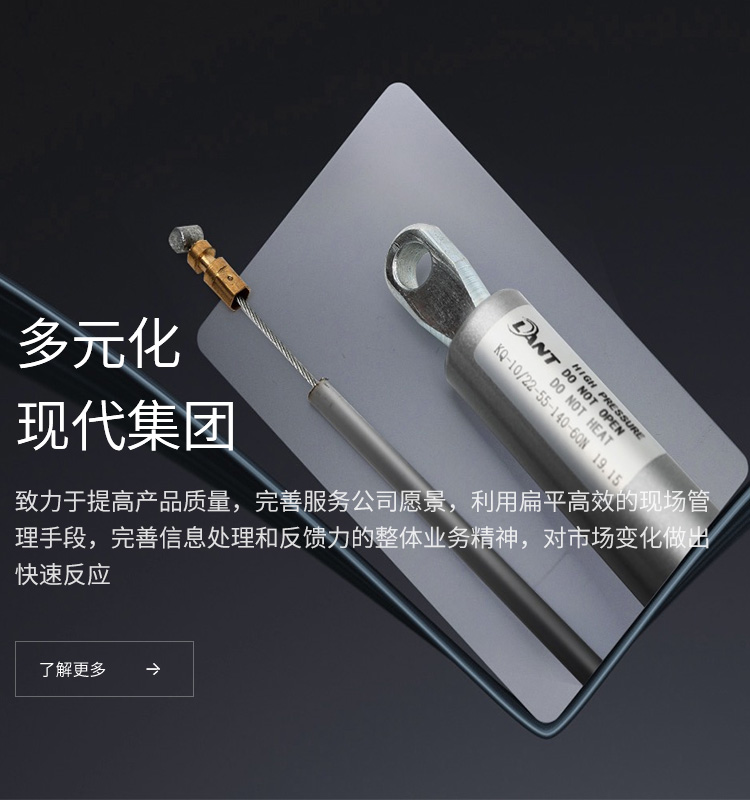 安徽萊特氣彈簧有限公司